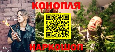 сатива Будённовск