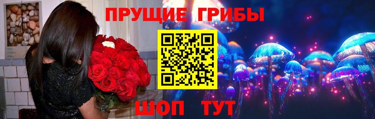 Кунгур  Галлюциногенные грибы мицелий  Вход с VPN  Галлюциногенные грибы ЛСД 